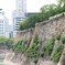 露と落ち　露と消えにし　我が身かな