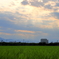夕暮れ　Ⅱ