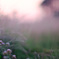 magichour