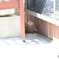 猫の楽園4