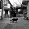 若松町