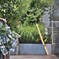 拝啓 夏至の候 紫陽花2