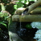 水の音