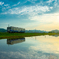 ６月の水田風景