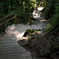 高尾山 ４号路