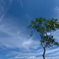 高原の空