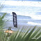VQS