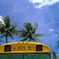 沖縄　嘉手納　school bus　