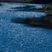 SHINING RIPPLES