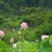 突然の雨Ⅱ