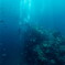 underwater cliffs