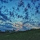 夕暮れの青