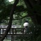 日傘　2025/07/04