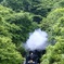 緑の森を抜けて