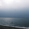 曇天の海