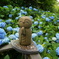 紫陽花を背にした微笑み地蔵