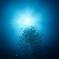 underwater world 10