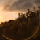 01d66485-1776-4161-8e2b-f279889e6e47-1_a