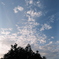 見上げた空