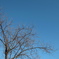 DPP_7898