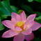 DSCF1120