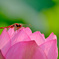 DSCF4189