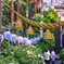 2025-06-29_磯山神社-1