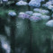 floating…ꕤ୭*