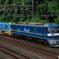 2025/07/01　9862　EF210-361