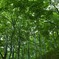 谷川岳一ノ倉沢