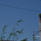 廃墟０１