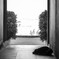 feel at ease