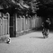 【 時間 】
