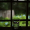Glass