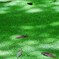 浮いてます