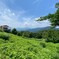 陣馬山より