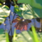 映る
