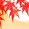 西宮紅葉2010