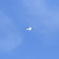 関空方面へ帰還