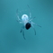 spider 9