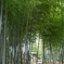 氷川の杜文化館　２