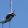 海上自衛隊ホワイトアローズ_T-5_IMG_3069