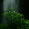 水の神殿