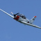 海上自衛隊ホワイトアローズ_T-5_IMG_3112