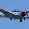 海上自衛隊ホワイトアローズ_T-5_IMG_3348