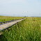 DSC09200
