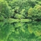 鳥沼
