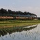 水無月は、水鏡月