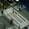 横断歩道　影を連れ添って渡る