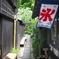 路地の氷屋